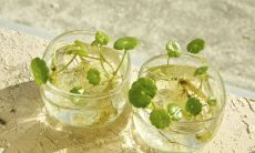 2020年农历五月十八日出生的女孩五行起名 满分名字推荐