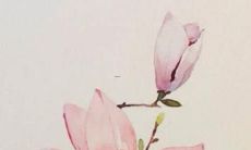 虎年男孩用岳字起名寓意