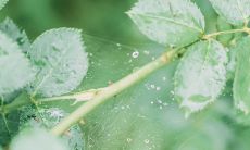 2020年农历五月二十四日出生的女孩五行起名 女宝宝名字推荐