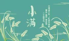 2020鼠年小满出生的男孩八字缺木起名字要补什么?