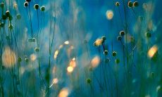 2020年五月初五端午节出生的男孩起什么名字好?什么名字吉利?