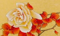 筝字取名的寓意女孩 女宝宝取好寓意名字