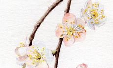 柒字后面加什么好听 精选女生好名字