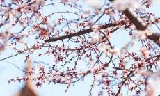 有内涵大气的公司名字 好听公司名字