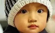 四个字的女孩子名字属狗