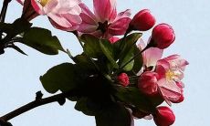 晚上出生的女孩名字鼠年