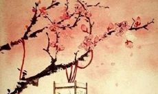 性格内敛做事稳重踏实的四大星座