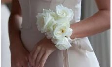 6月6号阴历是什么星座的