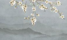 12星座谁的异性缘最旺