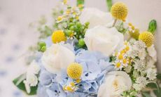 有很大的包容心和爱心的星座