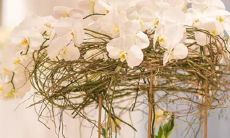 喜欢在人前显摆自己有文化的星座