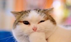 令人印象深刻网名昵称大全 优雅气质的昵称