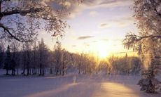 天蝎男喜欢的女生长相 天蝎座男生的全面分析