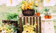 太阳 上升星座 解读