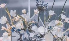 解读十二星座女