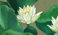 女孩包含优字顺口的名字