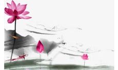 属羊2022年运势及爱情