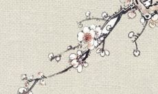 1967年属羊人2022年运势男命 55岁生肖羊2022年每月运势男性