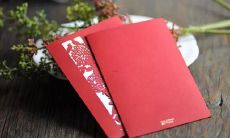 二月28日是什么星座