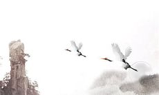 乙木人2022年虎年全年运势