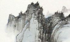 80年女2022年运势