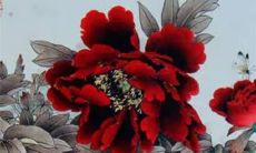 属兔人在2023年的财运