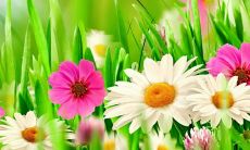 梦见自己和爸妈吵架是什么意思