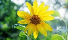 梦见棺材入土是什么意思