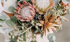 男双鱼座三区和女双子座三区配对