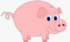 属猪2022年运势运程如何 属猪人2022全年运势详解每月