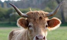 1973年出生的人是什么生肖?