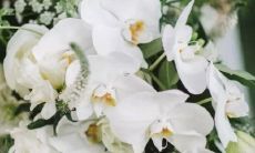 纸短情长 这些星座女钟爱写信