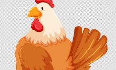 属鸡2022年运势运程如何 属鸡人2022全年运势详解每月