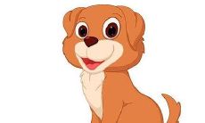 生肖狗的幸运楼层是哪些?