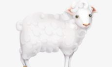 属羊2022年运势运程如何 属羊人2022全年运势详解每月