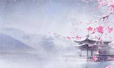 90年属马在2023运势