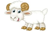 1979年生肖羊男性和什么生肖最配?