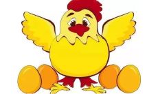 十二生肖鸡和狗配吗?