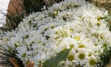 行事果断的星座