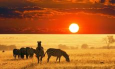 七月份出生的是什么星座 七月份星座是什么座