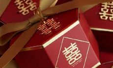 男处女座三区和女狮子处女座配对