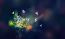 射手女和什么星座最配 射手女最配什么星座男