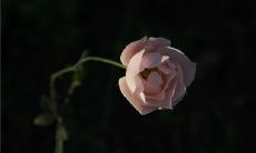 个性的qq备注名称