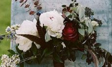 月亮星座看适合姐弟恋