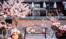 掏心掏肺 得不到知己反得到教训的星座