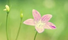 梦见滔天巨浪是什么意思