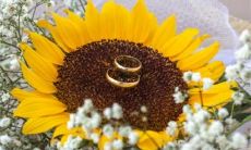 生肖兔的射手座和什么生肖星座最配