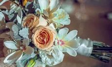 十二星座谁最喜欢恋爱