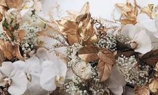 星座配对之白羊座与12星座