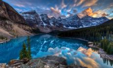 属猴和属猪的合不合 猴和猪做夫妻好不好